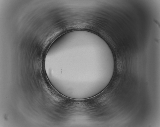 X0000103440486200809261757