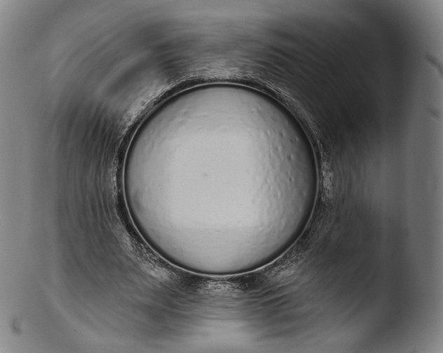 X0000103440487200809261757
