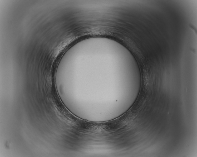X0000103440488200809261757