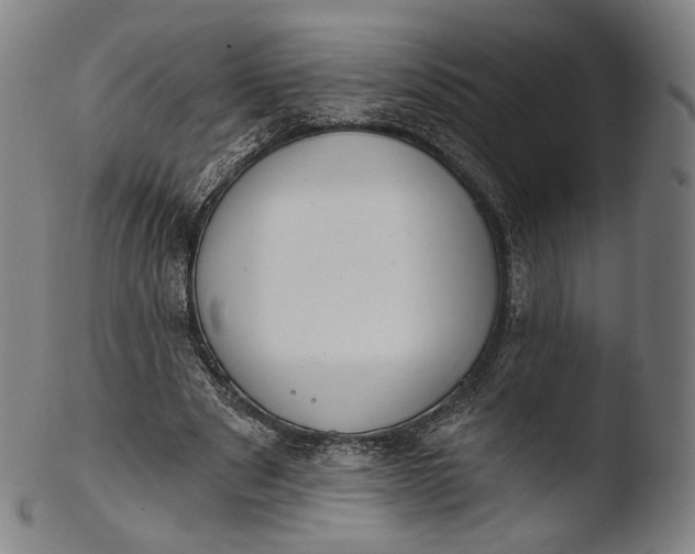 X0000103440489200809261757