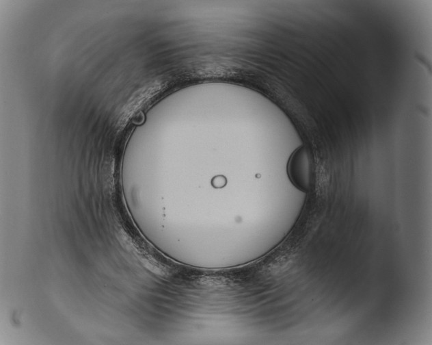 X0000103440490200809261757
