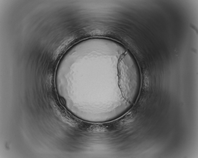 X0000103440491200809261757