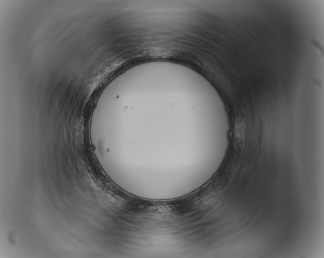 X0000103440492200809261757