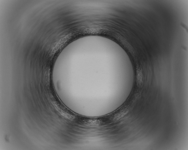 X0000103440493200809261757