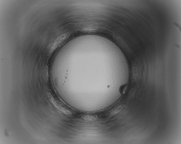 X0000103440494200809261757