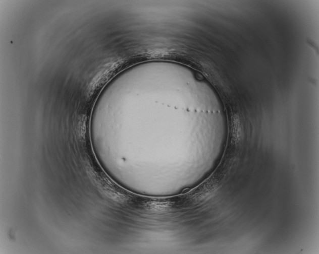 X0000103440495200809261757