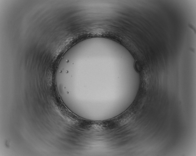 X0000103440496200809261757