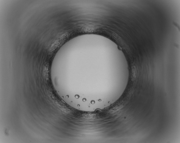 X0000103440497200809261757