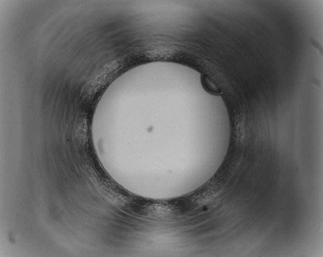 X0000103440498200809261757