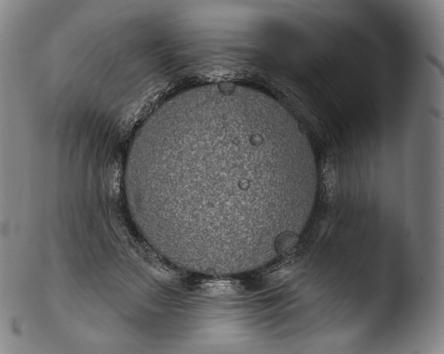 X0000103440499200809261757