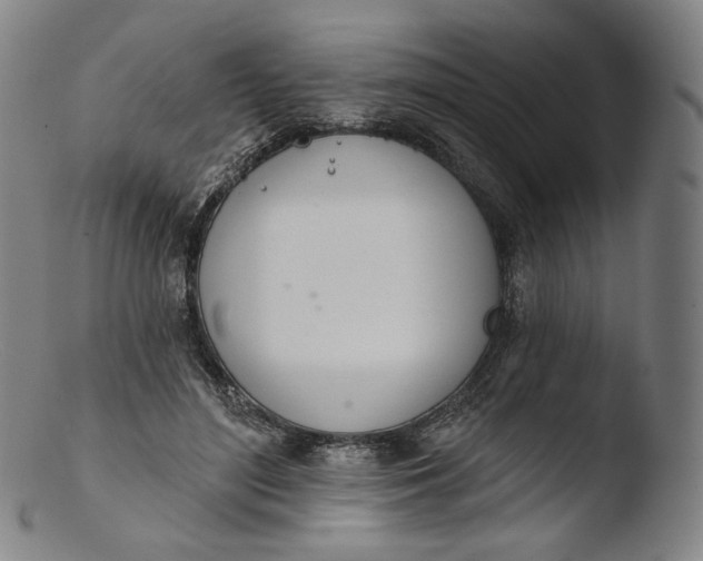 X0000103440500200809261757