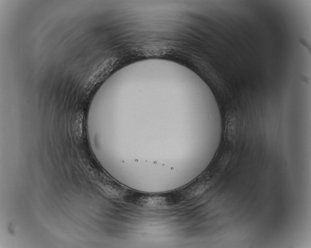 X0000103440501200809261757