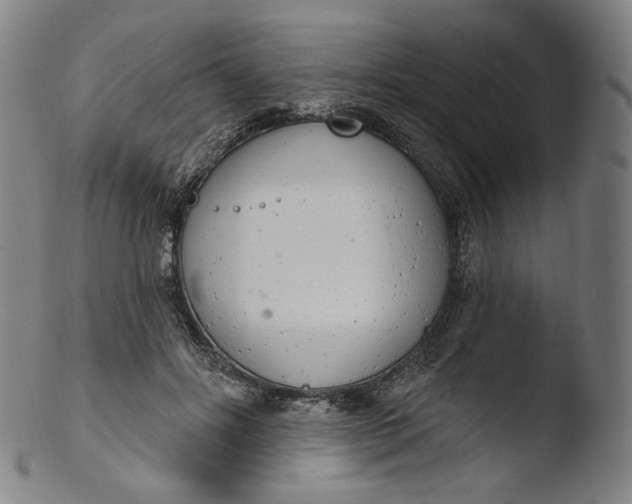 X0000103440502200809261757
