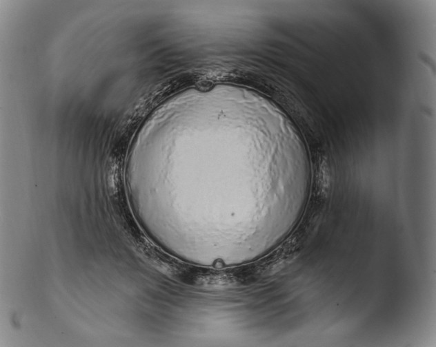 X0000103440503200809261757