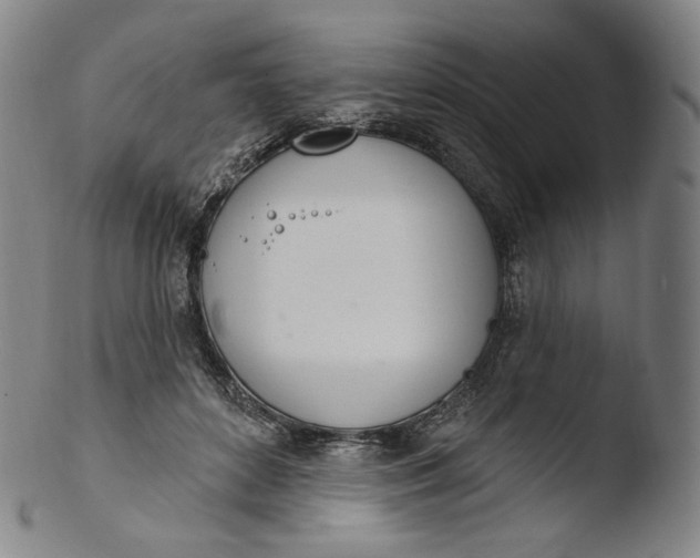 X0000103440504200809261757