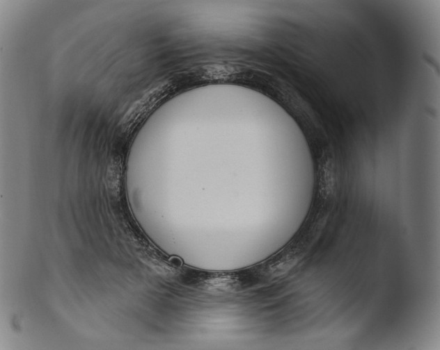 X0000103440505200809261757