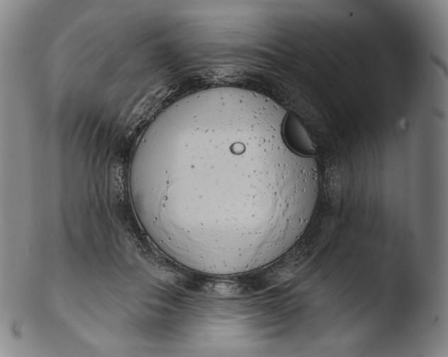 X0000103440506200809261757