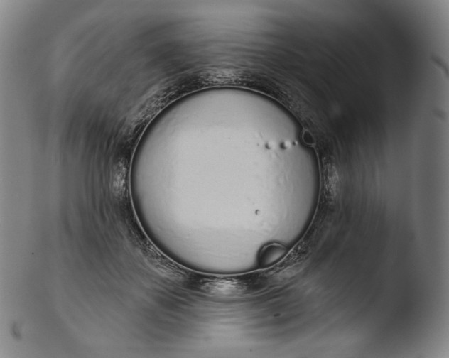 X0000103440507200809261757