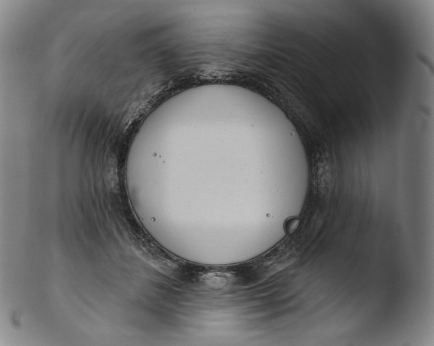 X0000103440508200809261757