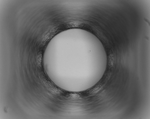 X0000103440509200809261757