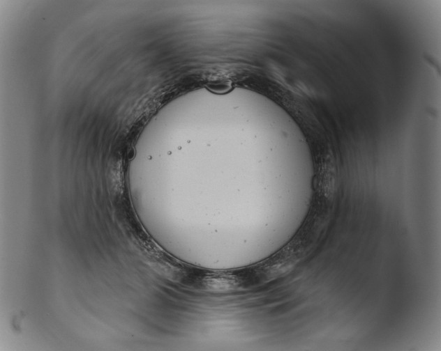 X0000103440510200809261757