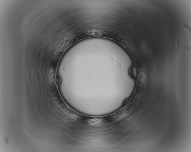 X0000103440511200809261757