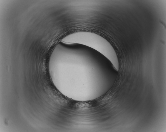 X0000103440512200809261757