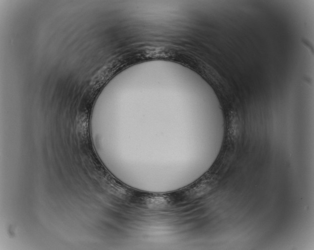 X0000103440513200809261757