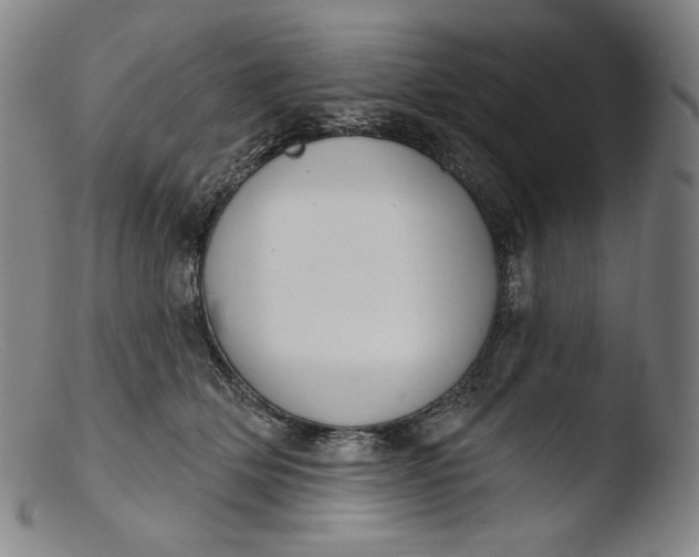 X0000103440514200809261757