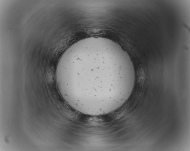 X0000103440515200809261757
