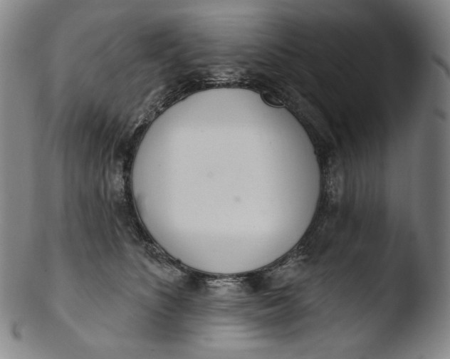 X0000103440516200809261757