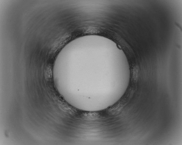 X0000103440517200809261757