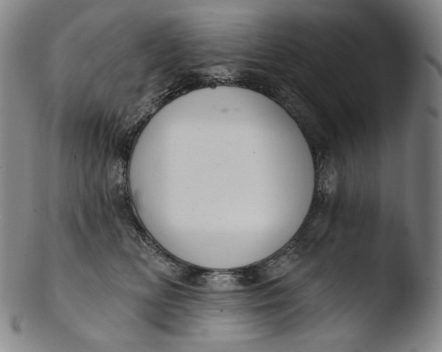X0000103440518200809261757