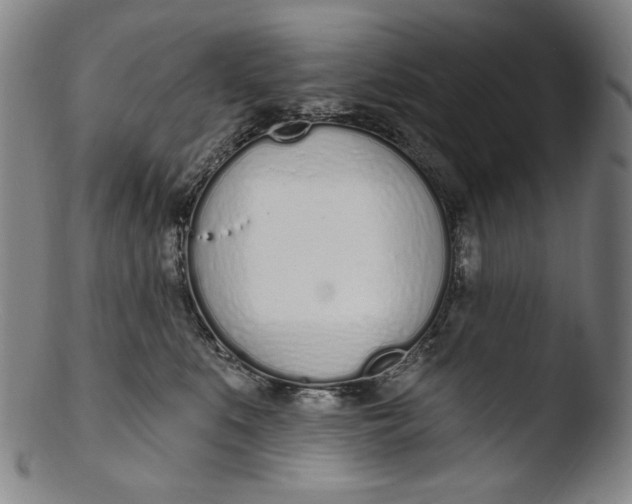 X0000103440519200809261757