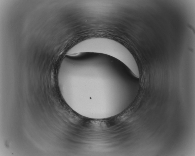 X0000103440520200809261757