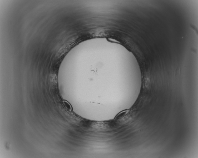 X0000103440521200809261757