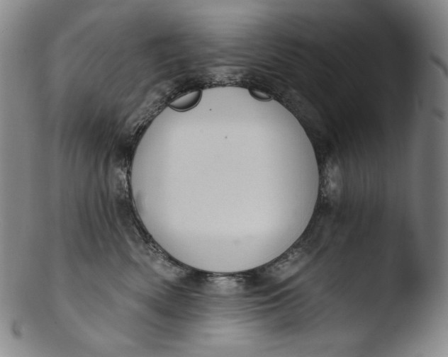 X0000103440522200809261757