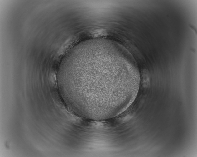 X0000103440523200809261757