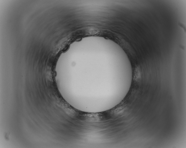 X0000103440524200809261757