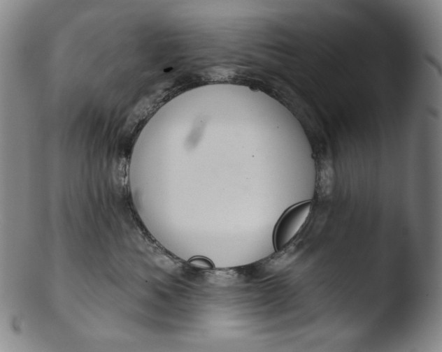 X0000103440525200809261757
