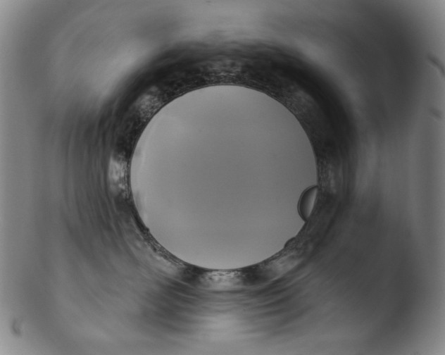 X0000103440526200809261757