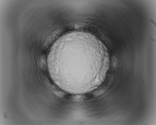 X0000103440527200809261757
