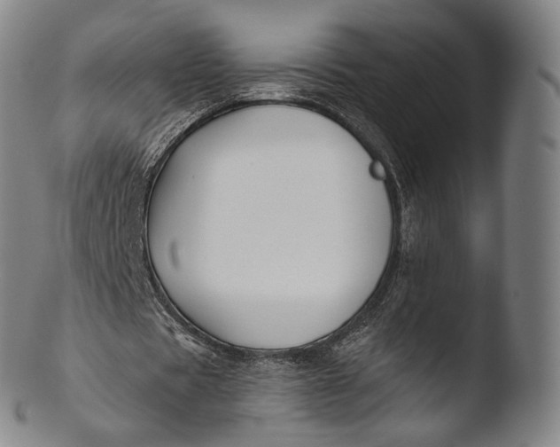 X0000103440529200809261756