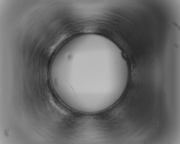 X0000103440530200809261756