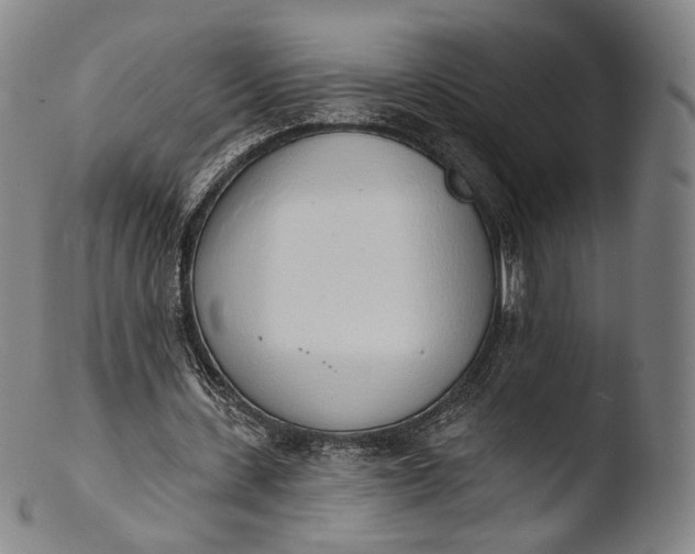 X0000103440531200809261756