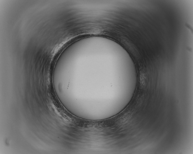 X0000103440532200809261756