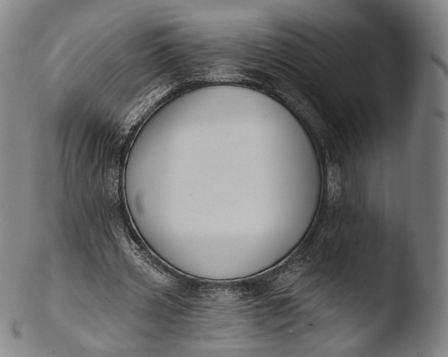X0000103440533200809261756