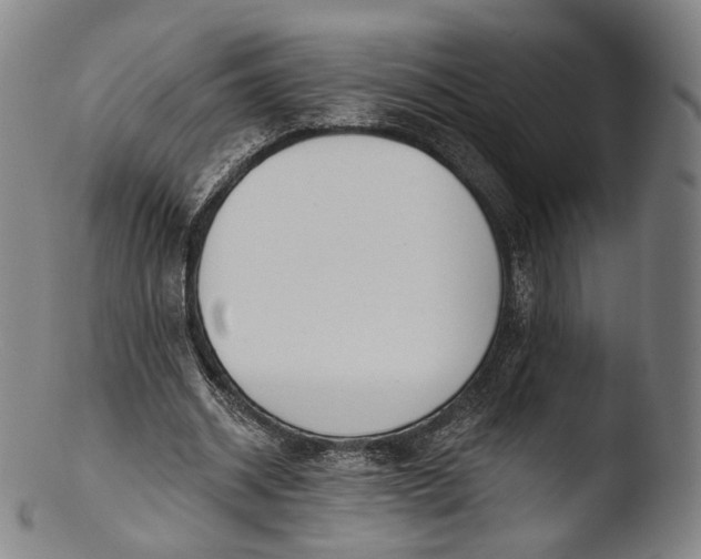 X0000103440534200809261756
