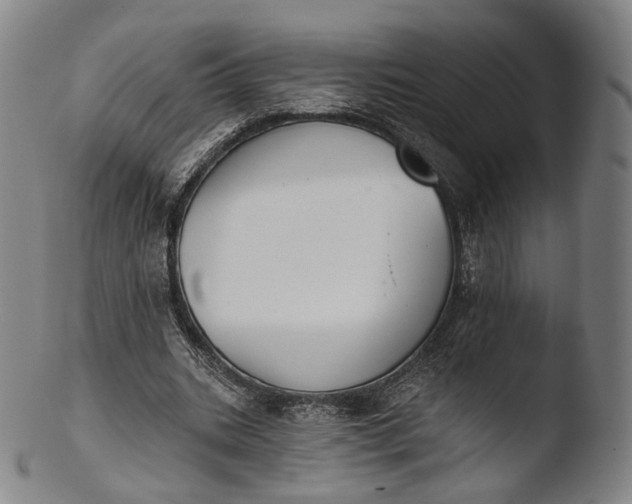 X0000103440535200809261756