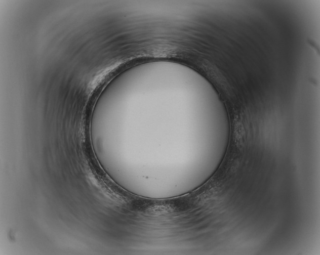 X0000103440536200809261756